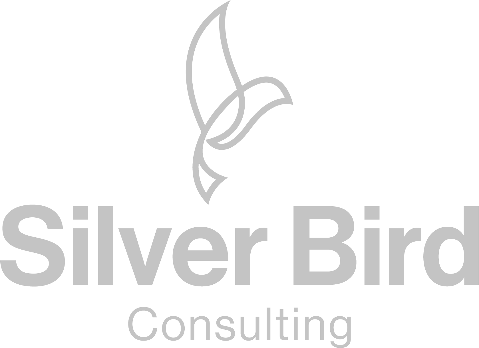 Silverbird Consulting Logo